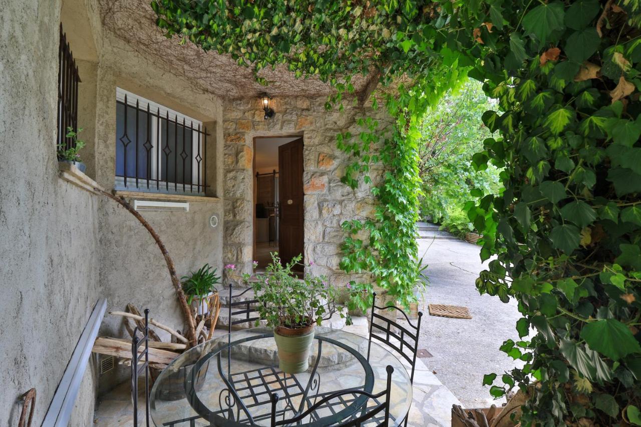 Le Mazet De Tourrettes Bed and Breakfast Εξωτερικό φωτογραφία