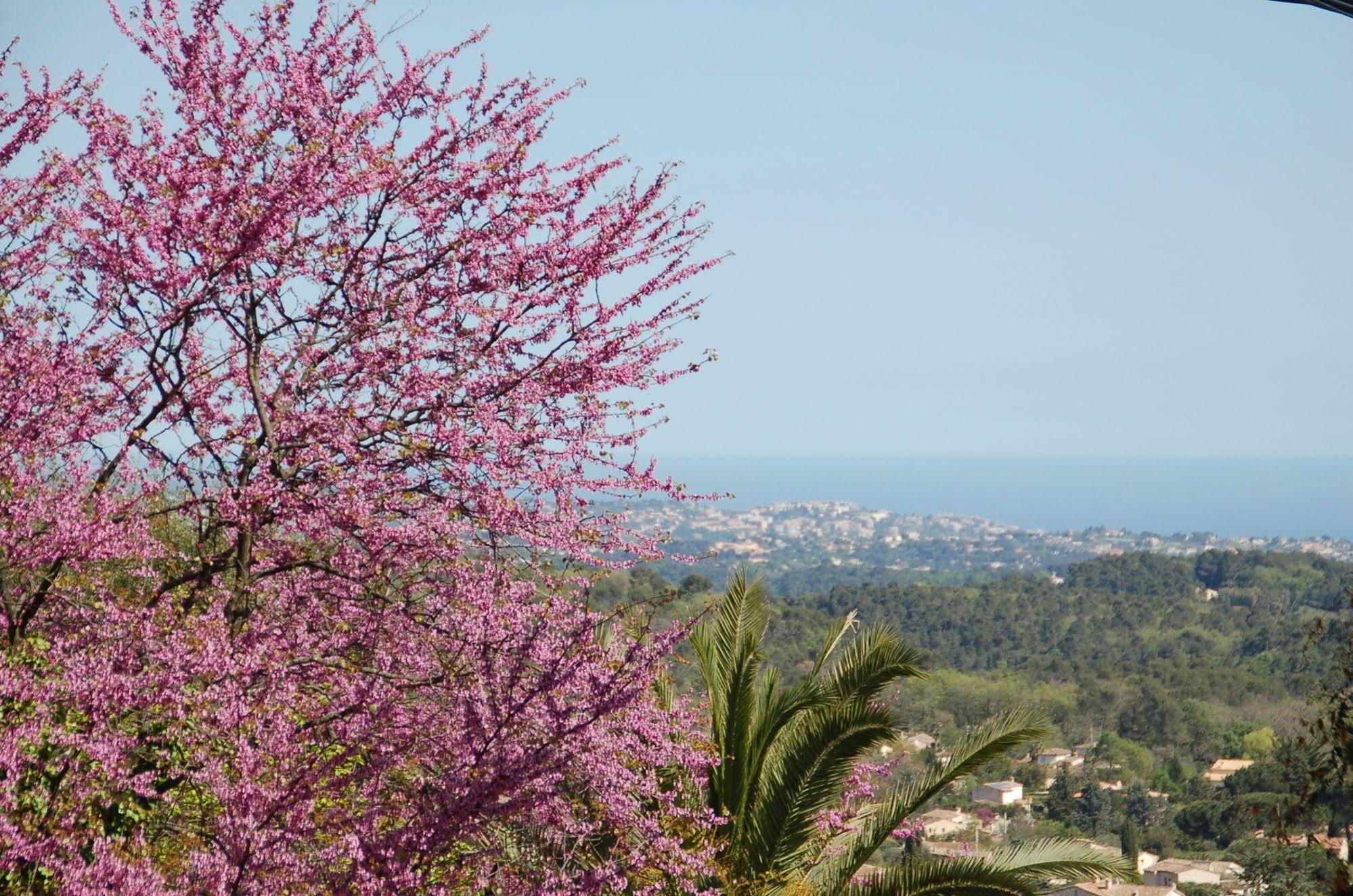 Le Mazet De Tourrettes Bed and Breakfast Εξωτερικό φωτογραφία